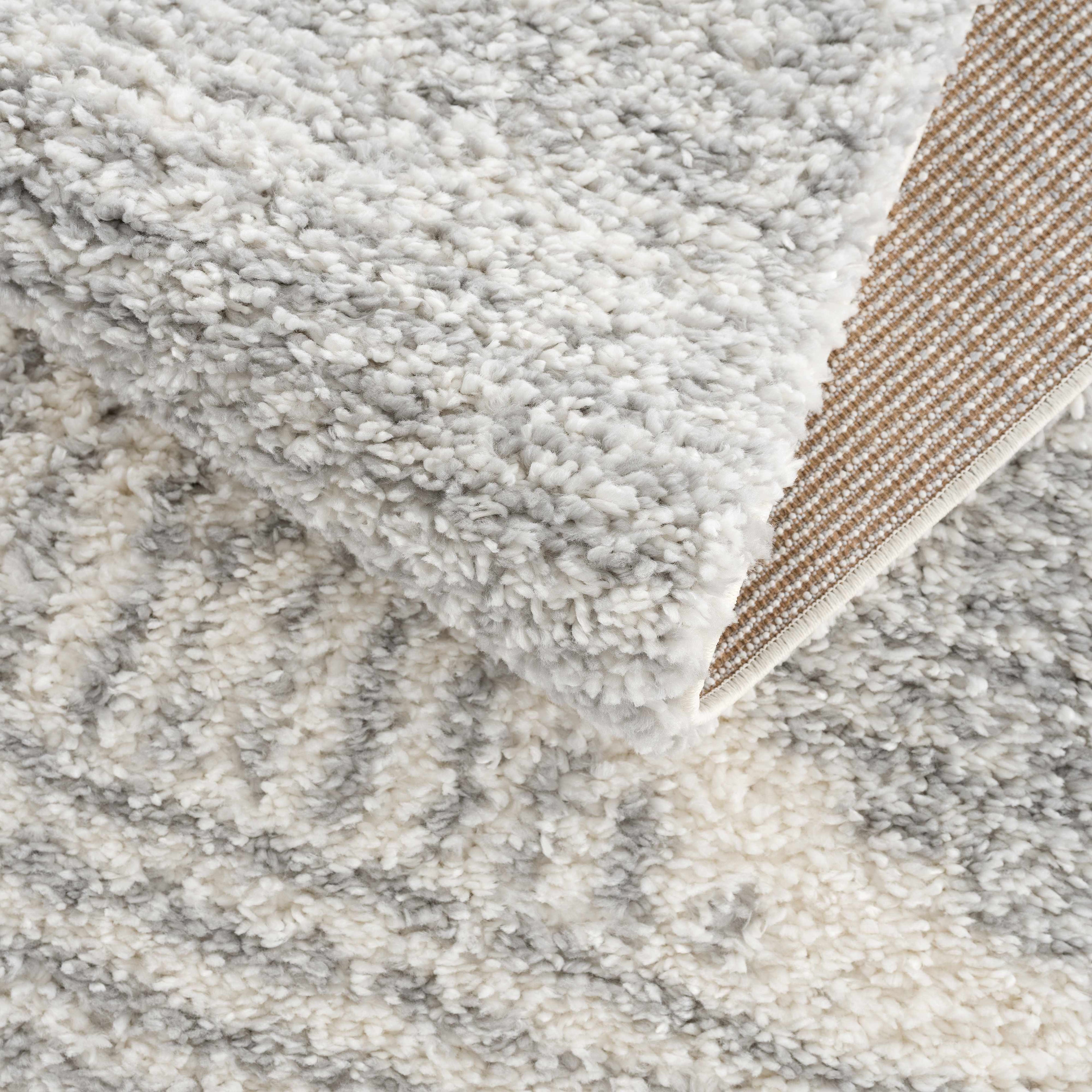 Trunding Plush Area Rug in Gray