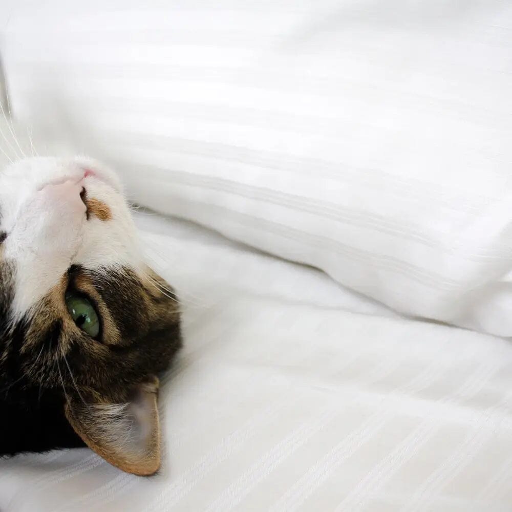 "The Original Eucalyptus Sheets, by Sheets & Giggles by Sheets & Giggles"