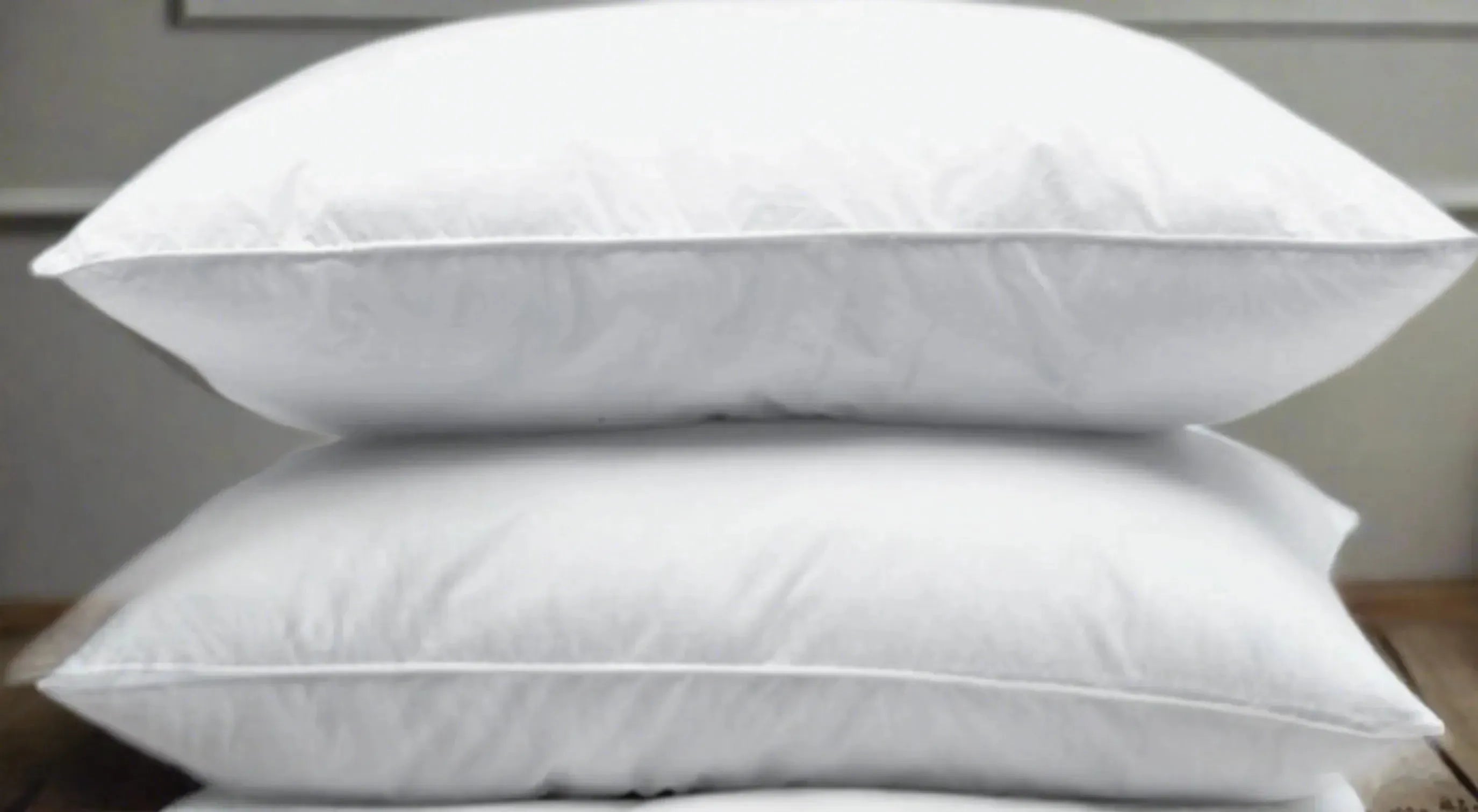 Economical Hotel Pillows with Synthetic Down by Rifz Textiles Inc