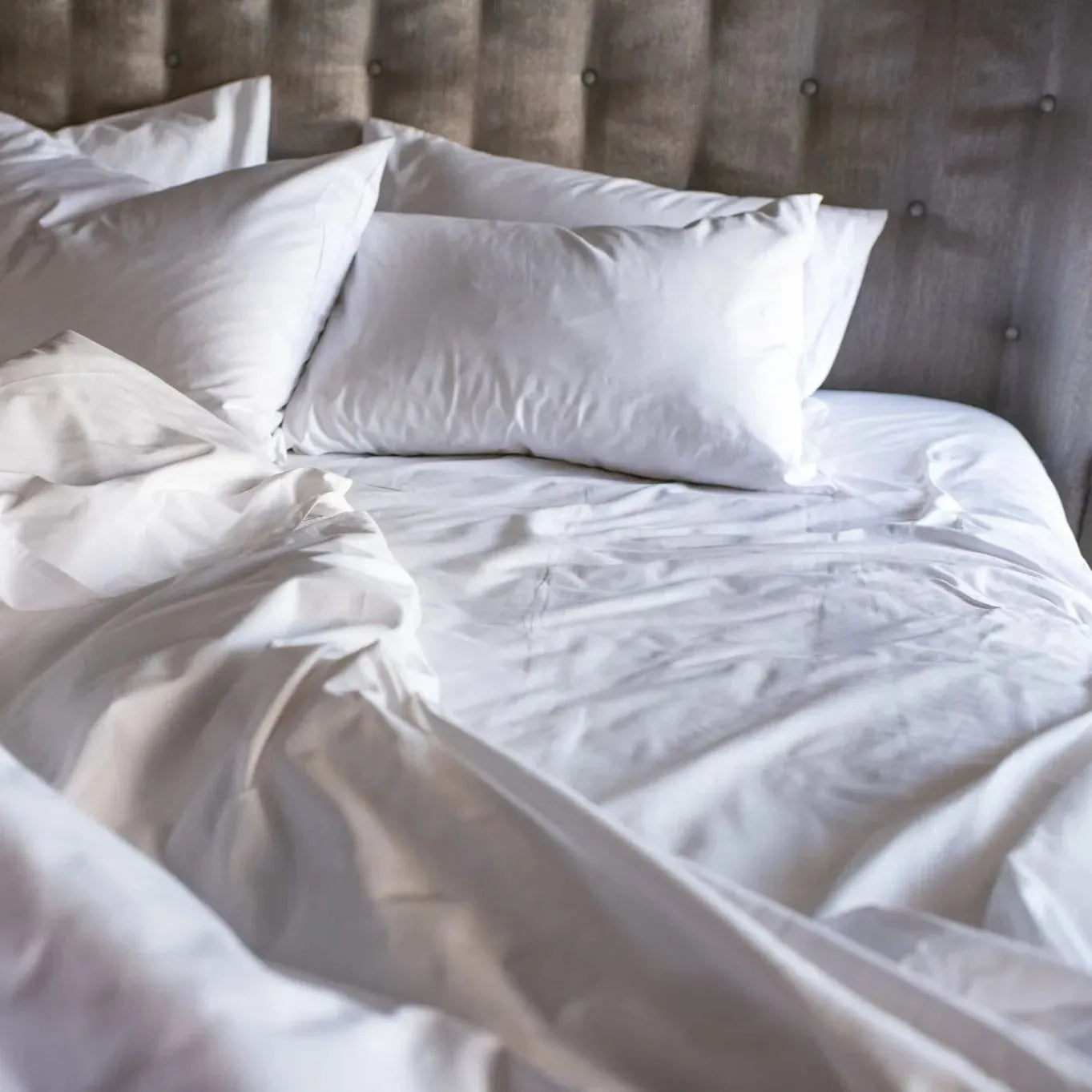 GSD Collection T-300 Blended Percale Sheets by Rifz Textiles Inc