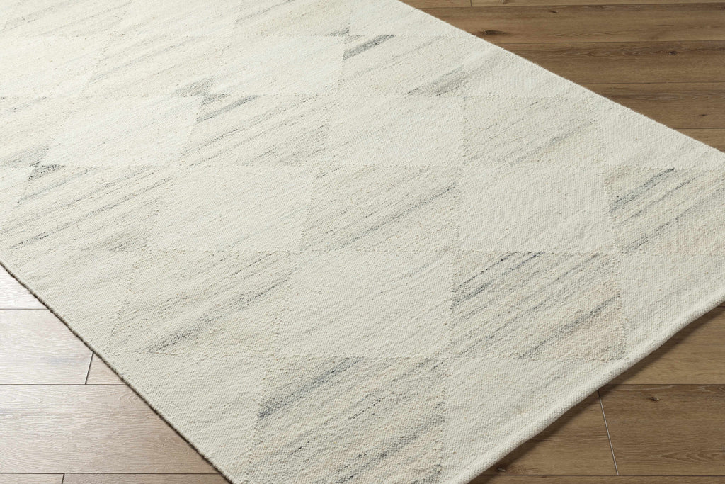 Rakin Area Rug
