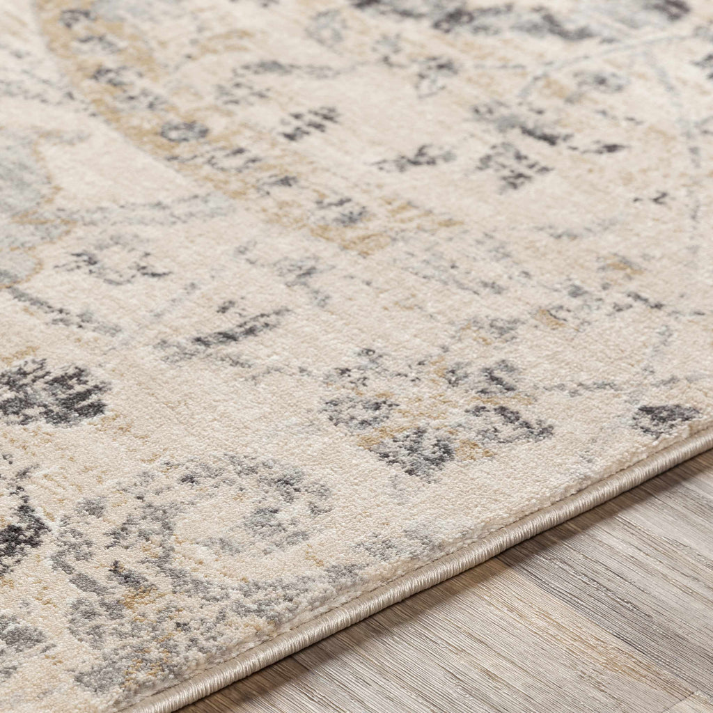 Georgiana Beige Area Rug - Stylish Floor Decor close-up showing medium pile texture and detailed woven design in beige and charcoal tones.
