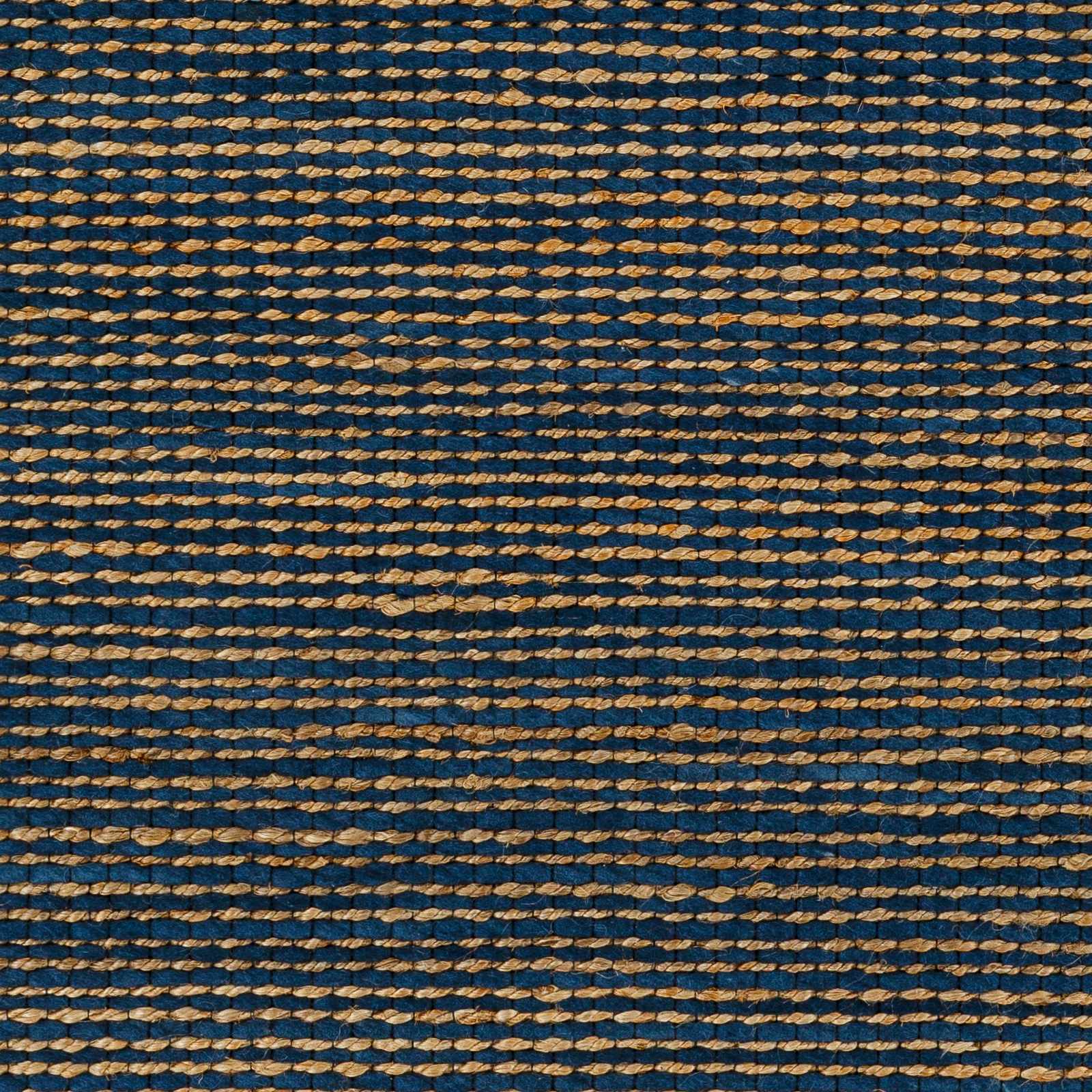 Riki Navy Area Rug